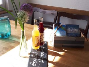 Ferienhaus Bella Schlei in Ulsnis