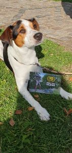 Riesengeburtstag am 5.10.24 Foto C. Goedecke