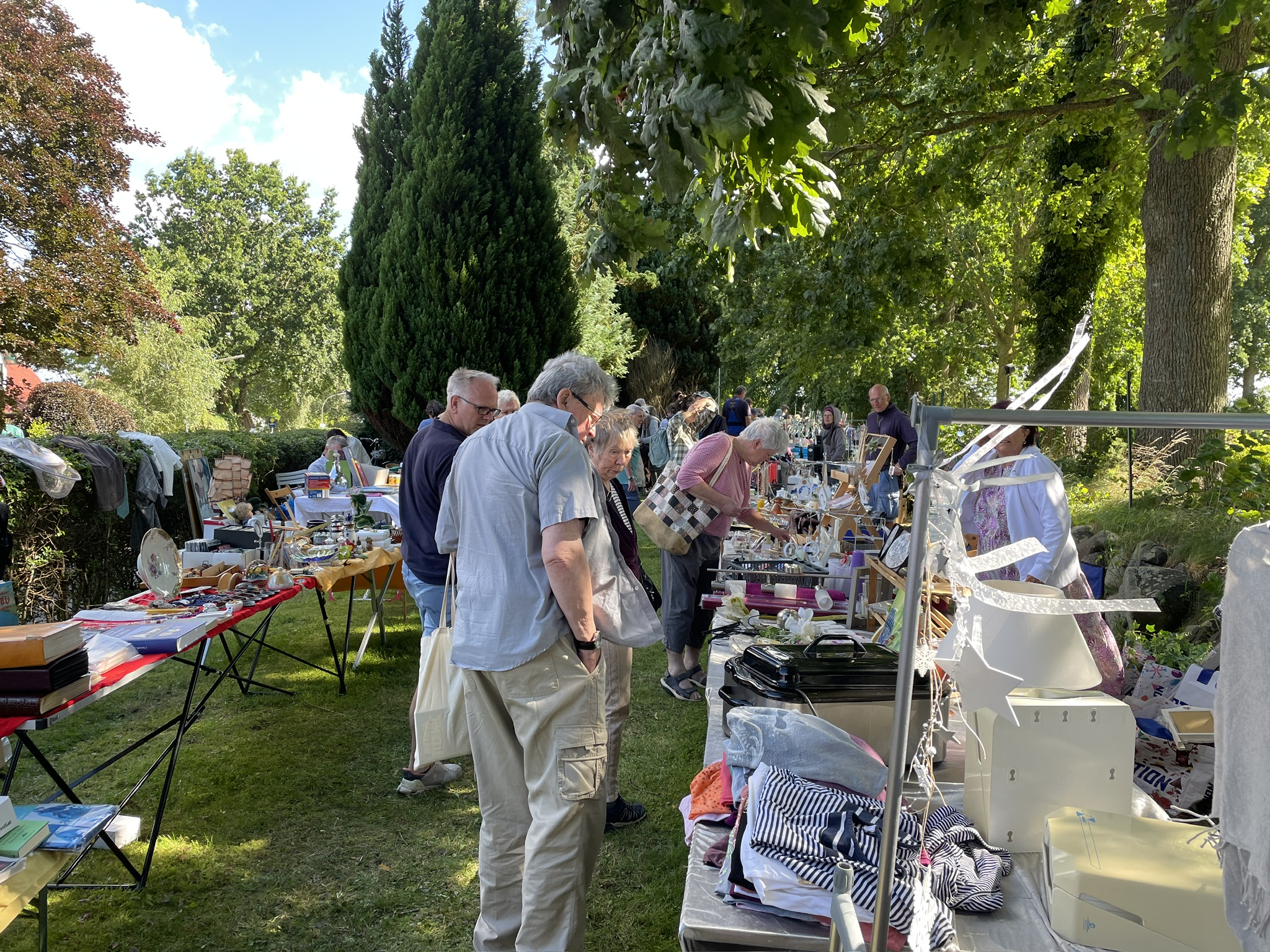 Flohmarktstände unter Bäumen mit Besucheren, die stöbern.