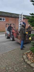 Weihnachtsbaumschmücken Foto: Goedecke Jürgen Schmidt fährt den Weidemann vor dem Weihnachtsbaum in Position.