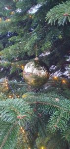 Weihnachtsbaumschmücken Foto: Goedecke Eine goldfarbene Christbaumkugel glänzt im Baum.