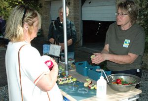 Herbstmarkt der Gemeinde Ulsnis im Jahre 2026 Herbstmarkt der Gemeinde Ulsnis im Jahre 2026